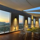 맹그로브 제주시티 이미지