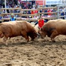 창원대산고등학교 이미지