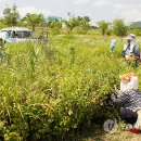 금강수변공원4 이미지