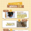 하밍투더문