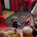 로젠비어 이미지