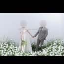 도매샾 | 청주 샾웨딩 스튜디오 촬영 후기 [+ 성안길 코코부기, 해밀스튜디오(니모) 후기]