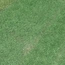 탄천변축구장 이미지