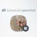 디어베어 이미지