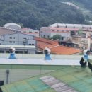 진영하모니숲 화장실 | 일요일]김해시 진영읍 진영로&amp;김해대로&amp;진산대로(나만일상기록&amp;일요일&amp;진영역사공원&amp;동네&amp;산책)기록 입니다