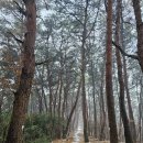 성주군노인회관 | 금북기맥 제5구간 서천문예의전당에서 장항 용당정까지(완주)