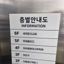 핏에끌리다