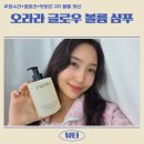 오라라 | 정수리, 옆머리, 뒷머리 3D 볼륨감 인정! 오라라 글로우볼륨샴푸 실사용 후기