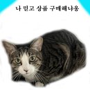 냥이캣