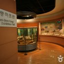 강원대학교박물관 이미지