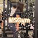 MSGym | <광천동 헬스장> MSGym__맞춤형 PT 100% 대만족