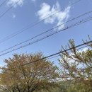 방산낚시터 이미지