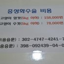 청평동물병원 이미지