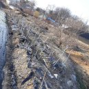 분천농장 이미지