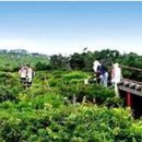 ㈜우리렌트카 이미지