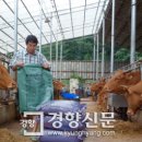 DUK농장 경향신문