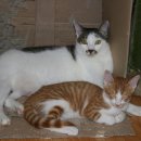 밍밍 (mingming) 이미지