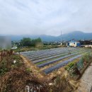 석전동312 이미지