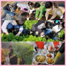 마도초등학교 이미지