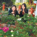 세계모란공원 이미지