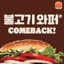 버거킹비발디점 이미지