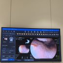 노벨플러스내과의원 | 미금역건강검진 다건강한내과 내돈내산 후기