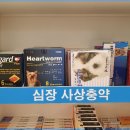 안성스타약국 이미지