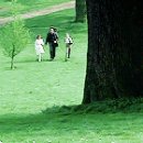 윌리엄가든 이미지