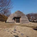 봉황동유적 패총단면전시관 Daum카페