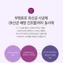 뉴 스킨 | 뉴스킨 에이지락 메타 유산균 후기 (항생제 설사 후 아이 복용 변화)