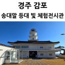 음악관 화장실 | 경주 감포 아이와 가볼만한 곳 송대말 등대 빛 체험 전시관