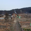심천사혈요법연구회 티스토리
