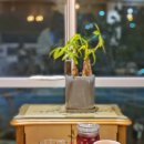 카페 비타리카 | [부산/사상] 감전동 갤러리카페 비타리카, 야경맛집