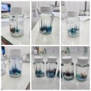 정원화학 이미지