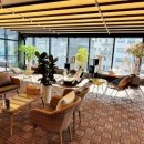 서울애견미용실 이미지