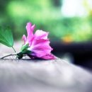 조*수 - 진안군 대광1길 4 | 조*수