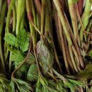 보령농장 이미지