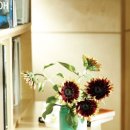 이지플라워 이미지