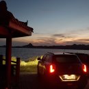 진도개녹진 영농조합법인 | 2022년 1월 30일. 전라남도 진도 여행. (진도개테마파크, 운림산방.)