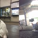 주식회사 요로