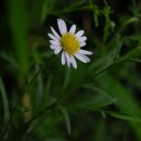 꽃소아청소년과의원 이미지