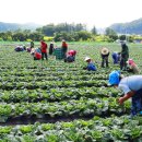 계절축산 이미지