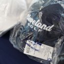 골프존 버디 스크린 이미지