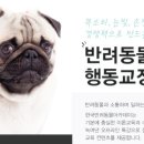 복종 이미지