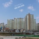 금호행정사사무소 이미지