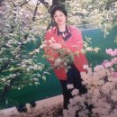 가원민박 이미지