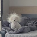 두번째봄여성의원 | 난임일기 / 두번째 난자 채취 후기 / 서울아이비에프여성의원