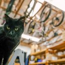 새동창주유소 이미지