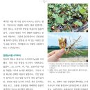 원일농장 이미지