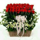 제주여자중학교 이미지